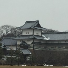 collection-thumbnail